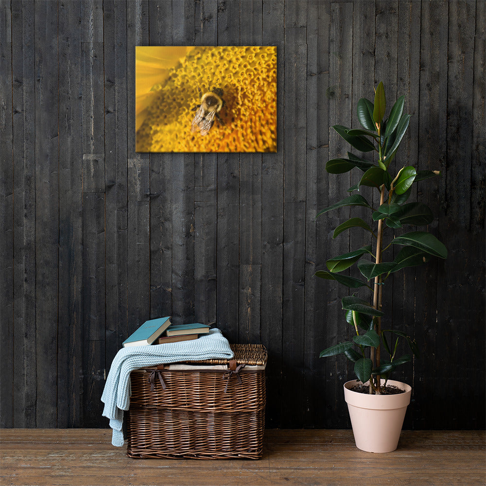 Busy Bee Canvas Print