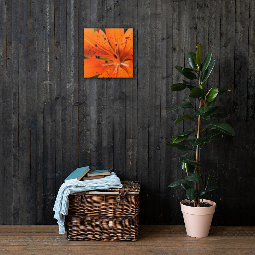 June Wildflower Canvas Print