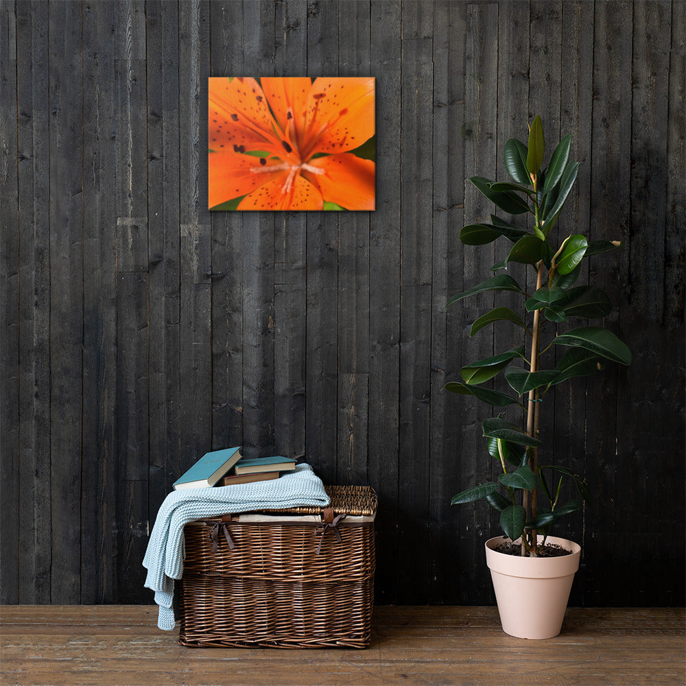 June Wildflower Canvas Print