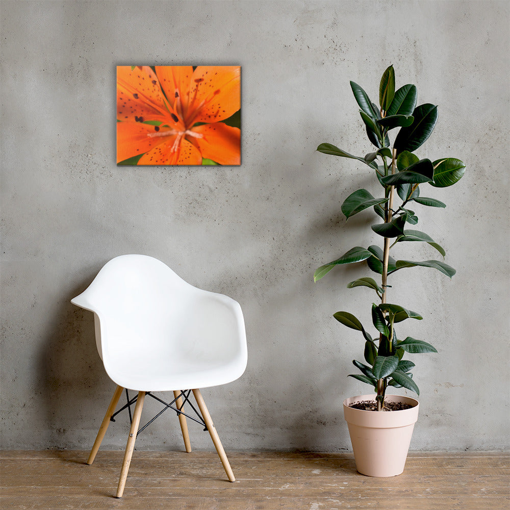 June Wildflower Canvas Print