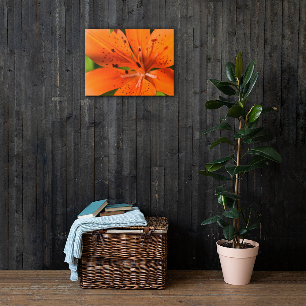 June Wildflower Canvas Print