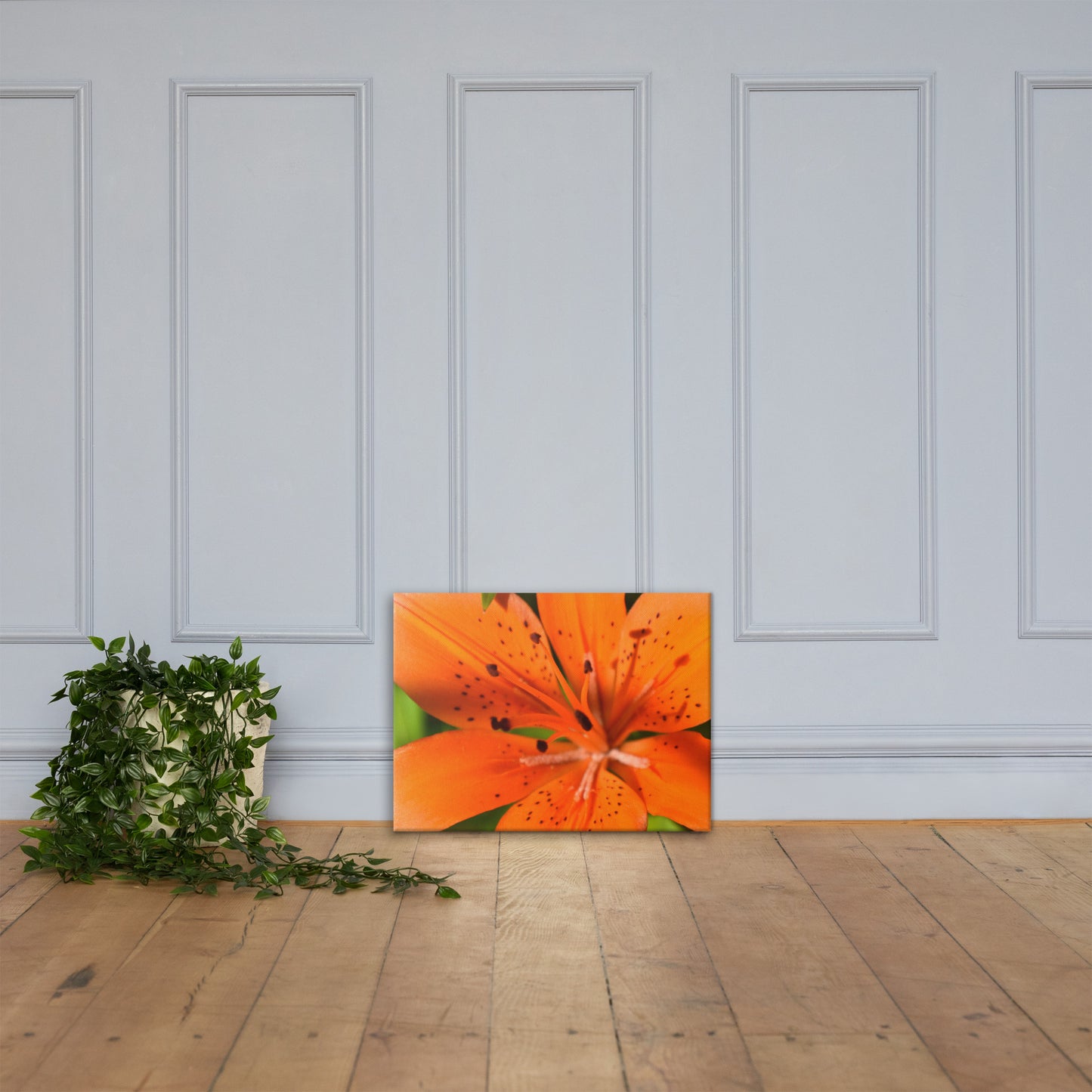 June Wildflower Canvas Print