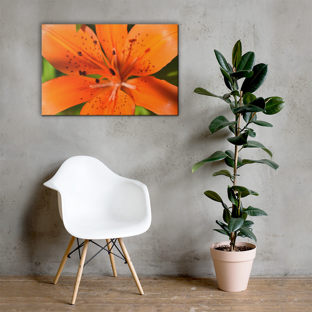 June Wildflower Canvas Print